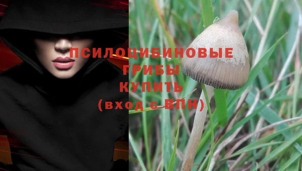 мескалин Липки